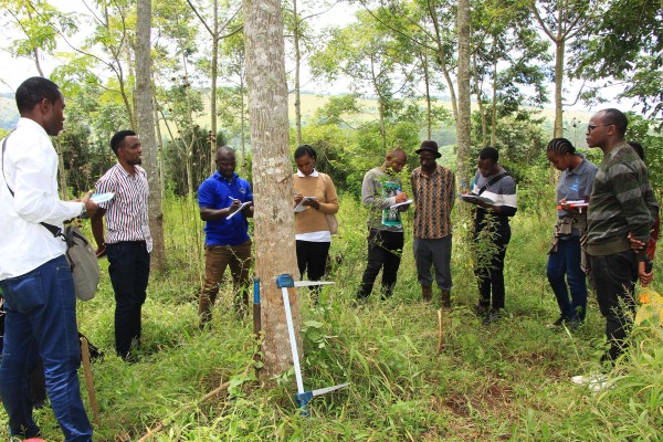 evaluation-of-carbon-project-implemented-by-sft-vi-2