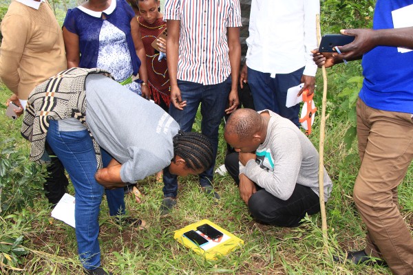 evaluation-of-carbon-project-implemented-by-sft-vi-3